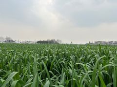 -中国天府农业博览园