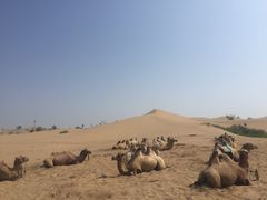 -亿利库布其七星湖沙漠生态旅游区