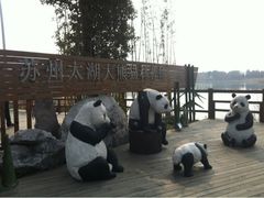 iphone_upload_pic-苏州太湖国家湿地公园
