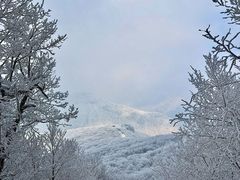-安吉龙王山风景区
