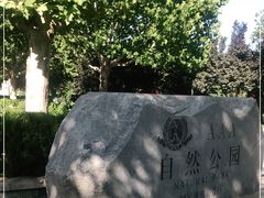 -廊坊市自然公园