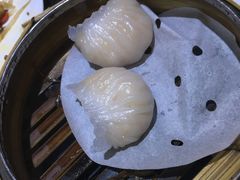 -糖朝(尖沙咀店)