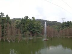 -广州市帽峰山景区