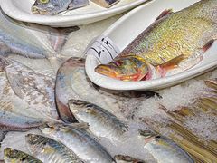 -紫阳海鲜楼·传承闽味(长乐路总店)