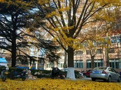 -山东大学(千佛山校区)