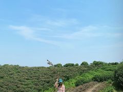 -平湖九龙山旅游度假区