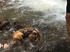 -藏龙百瀑漂流