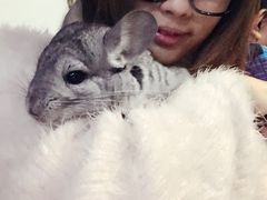 iphone_upload_pic-EGO原创机械密室逃脱(朝阳大悦城2店)