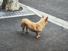 -张乐平故居