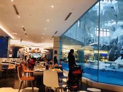 -帝企鹅自助餐厅•儿童岛•真企鹅(长隆企鹅酒店)