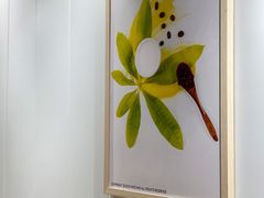 -益禾堂(亭江店)