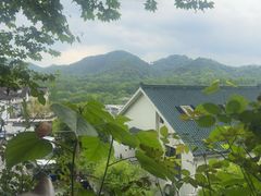 -马灯部落·西湖边的创意山景餐厅(虎跑动物园店)