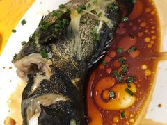 -老字号蛇口德记烧腊饭店·海鲜加工