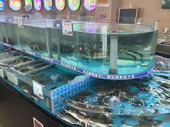 -韩记海鲜饺子(隆仁世家店)