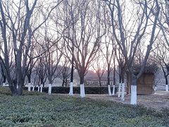 -西安浐灞国家湿地公园
