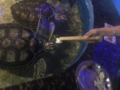 -石林冰雪海洋世界