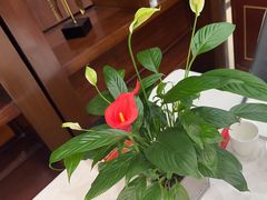 -红菜坊·烤鸭·川鲁宴(石园店)