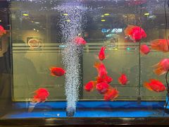 -东四民芳餐厅(朝阳门店)