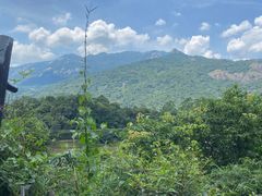 -清水湖度假村(罗浮山美食地标店)