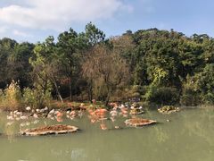 -宁波野生动物园
