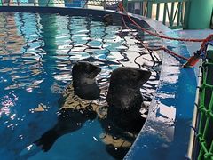 -海合安武汉极地海洋公园