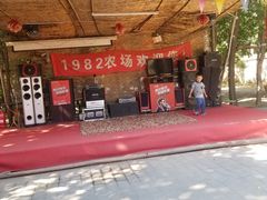 -1982农场