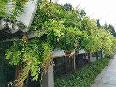 -瀛洲公园