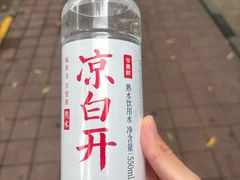 -普陀宗乘之庙(小布达拉宫)