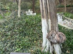 -南山风景名胜区