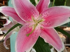 -南堂馆·新川菜(春熙路店)