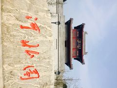 -武清南湖绿博园