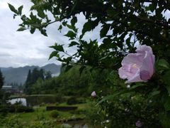 -井冈山风景名胜区