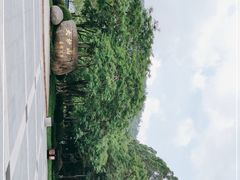 -火炉山森林公园