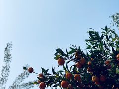 -雨花胜境