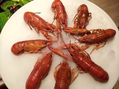 -红盔甲·小龙虾(车公庙店)