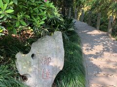 -十八棵（老龙井）御茶园(老龙井店)
