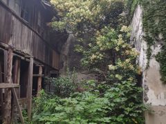 -书隐楼