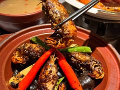 -狮拾久·现代新加坡料理(壹方城店)