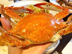 -赶海部落海鲜城(海阳路店)