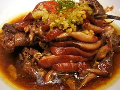椒麻肘子-四季厨房 鲁菜·孔府烤鸭(高新万达店)