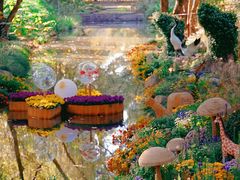 -上海共青森林公园