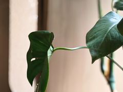 -SeekSeeking咖啡专门店(堰塘街店)