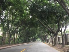 -南国桃园旅游度假区