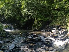 -凤凰山国家森林公园