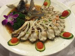 -田园小观园(武大店)