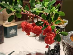 红尘妃子笑-奔跑吧陕菜·盛世长安(民乐园万达店)