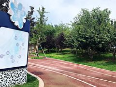 -丁香湖公园