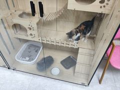 -大悦城(沈阳中街店)