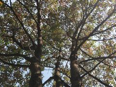 -汉中石门栈道景区