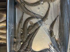 -华盛丰温州大排档(东三环南路店)